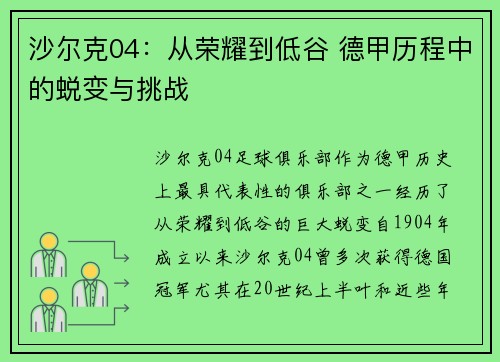 沙尔克04：从荣耀到低谷 德甲历程中的蜕变与挑战